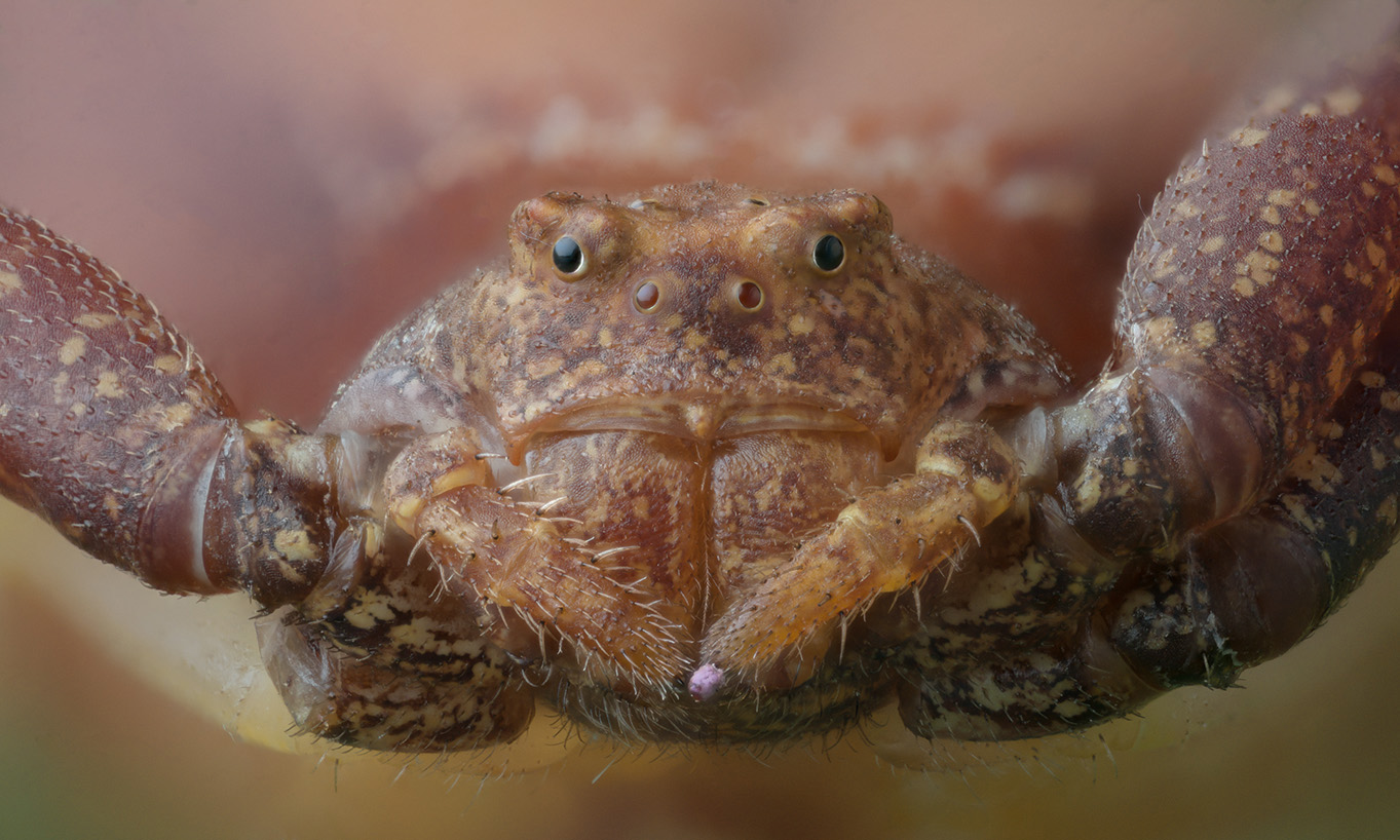 2016-09-26-23_19_02_ZS_PMax_1