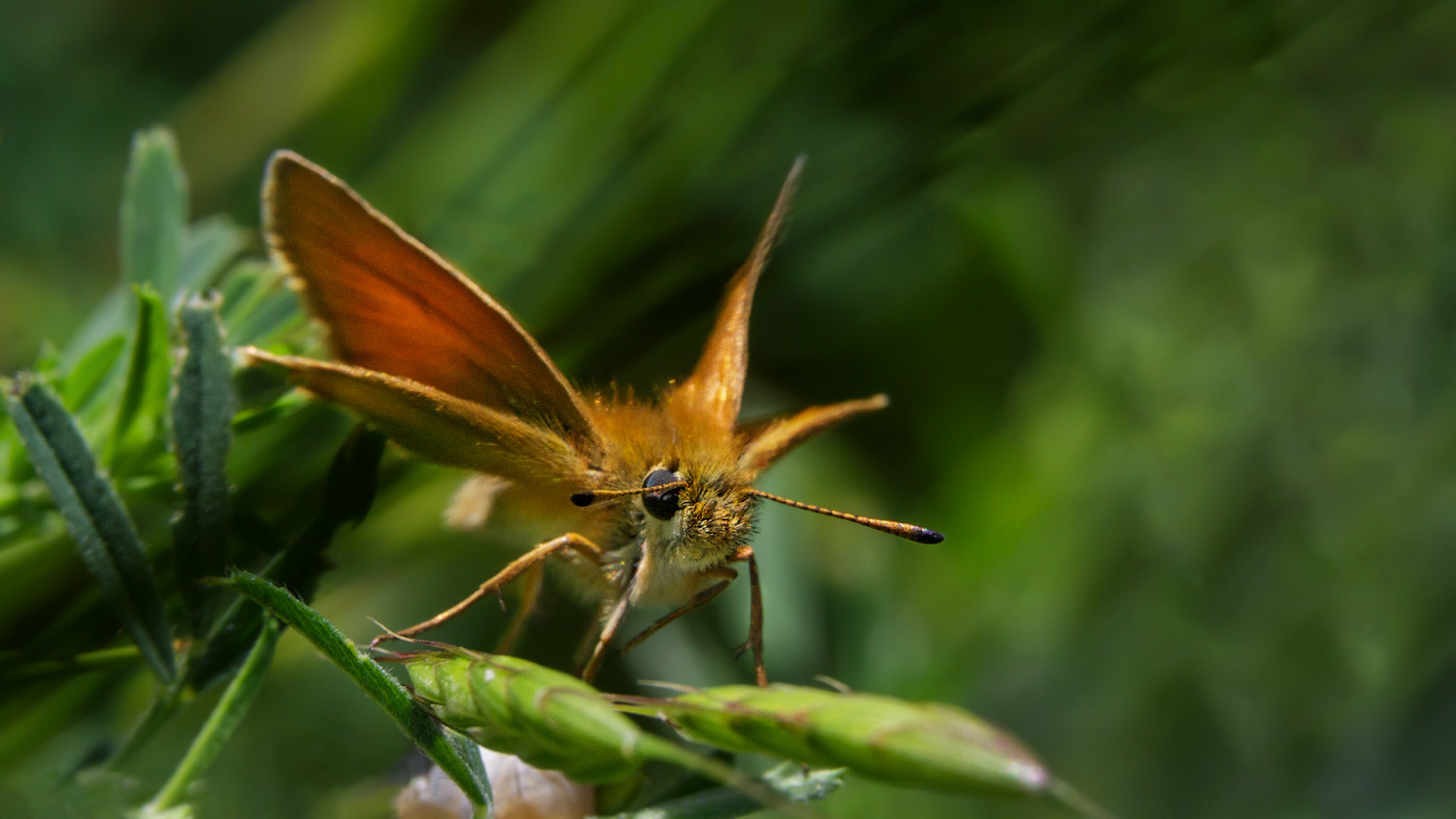 2021_06_12_09-25-47_00072