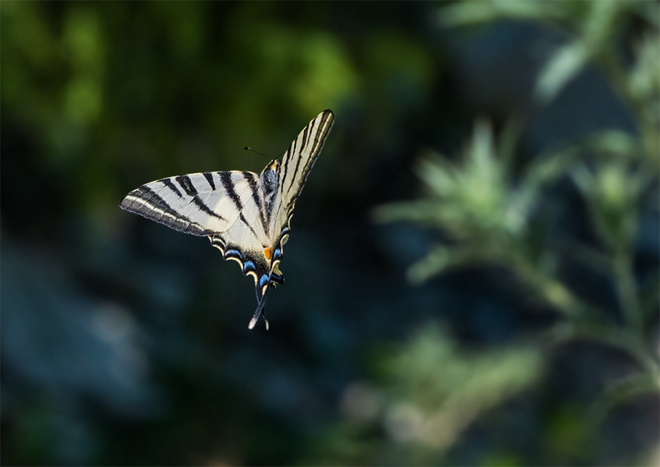Photo_from_2021-07-14_14-50-18_