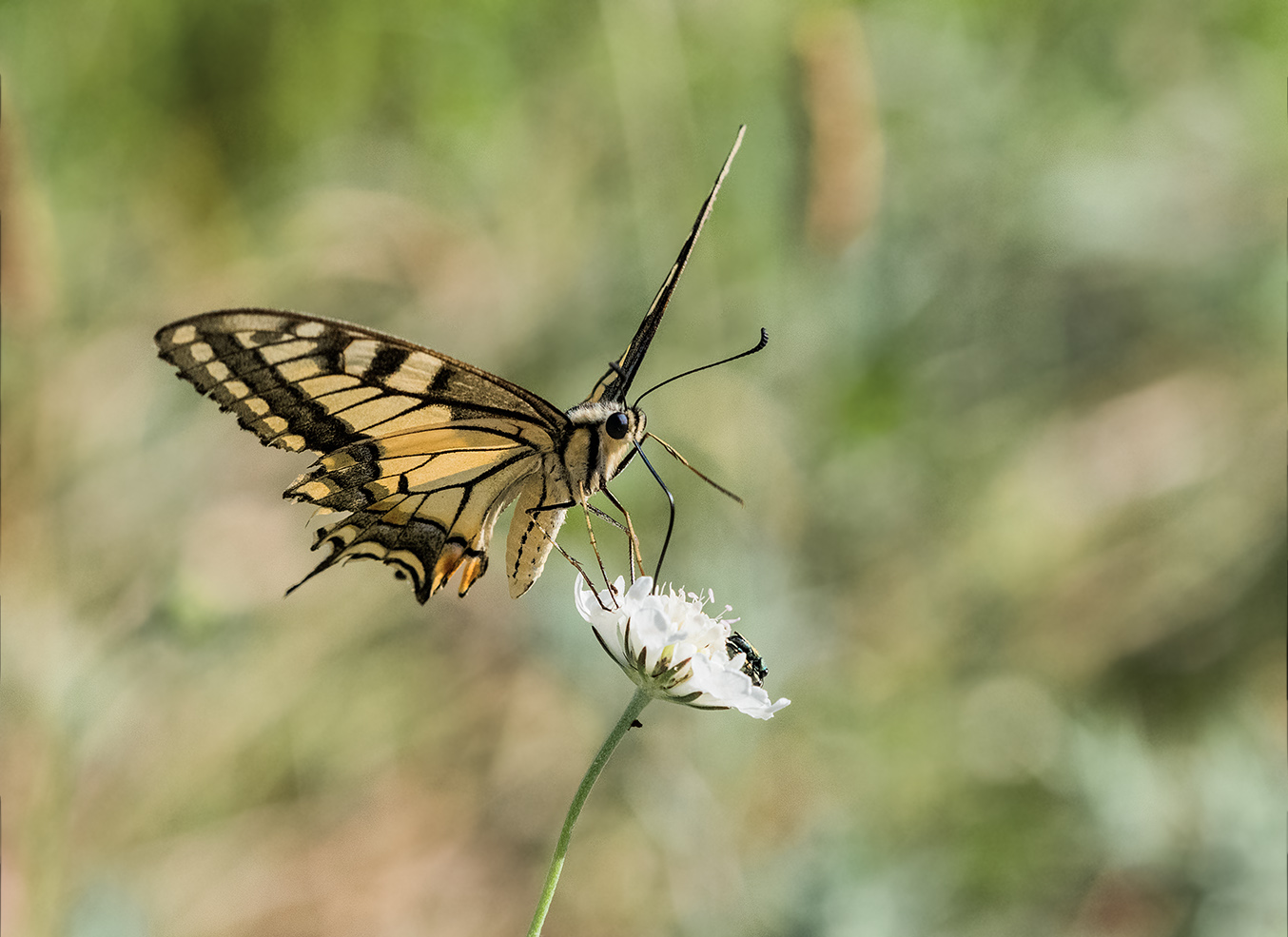 Photo_from_2021-07-17_17-10-58