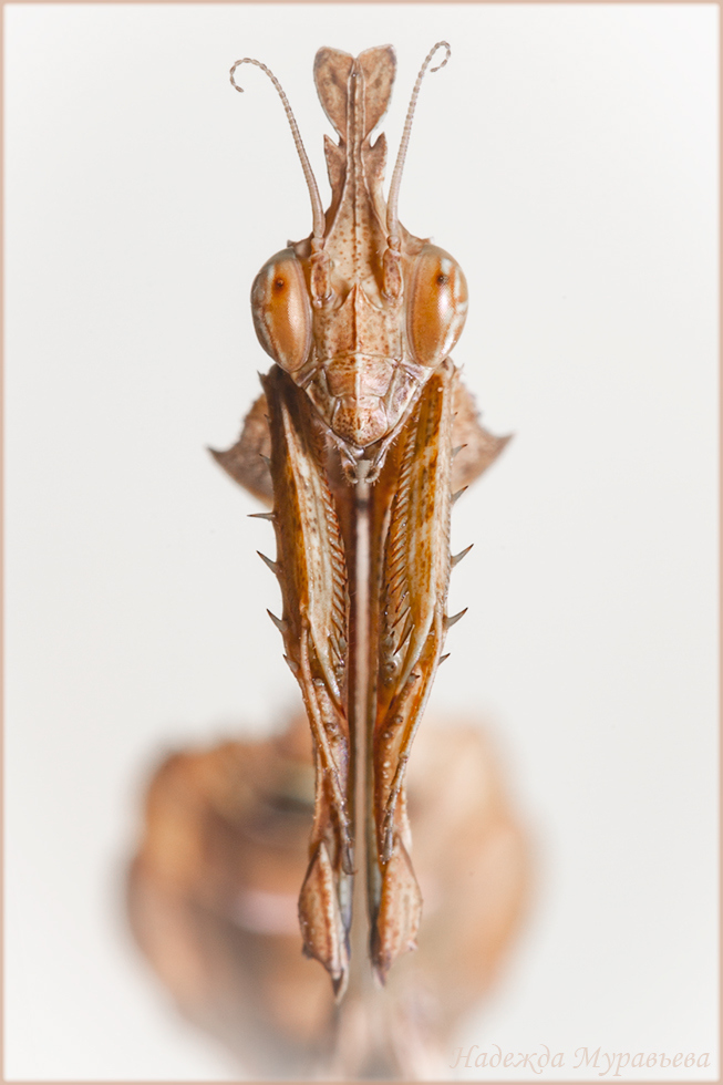 96DDAF0B-82AC-42FD-936C-7D4D2ECC85C9