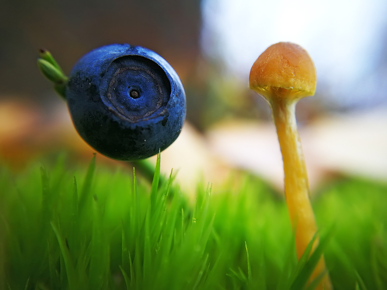 IMG_20211010_121847_