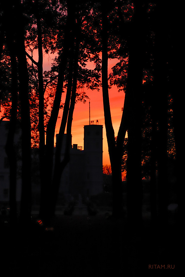 Gatchina_Mystic_-_Ritam_W