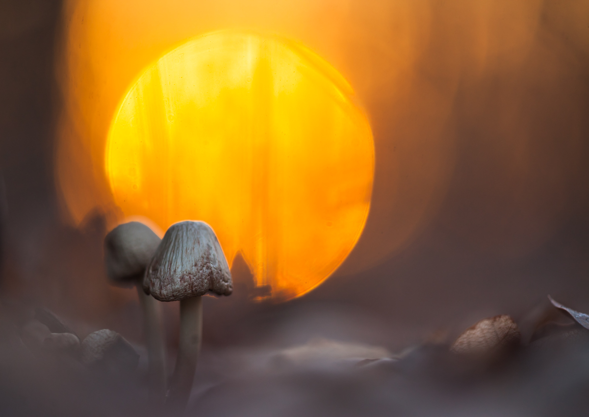 20210207-IMG_0962-31