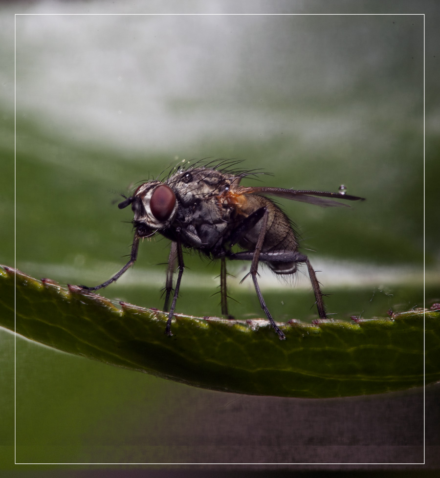 09-06-09_202631_M_A_R_8_S_4