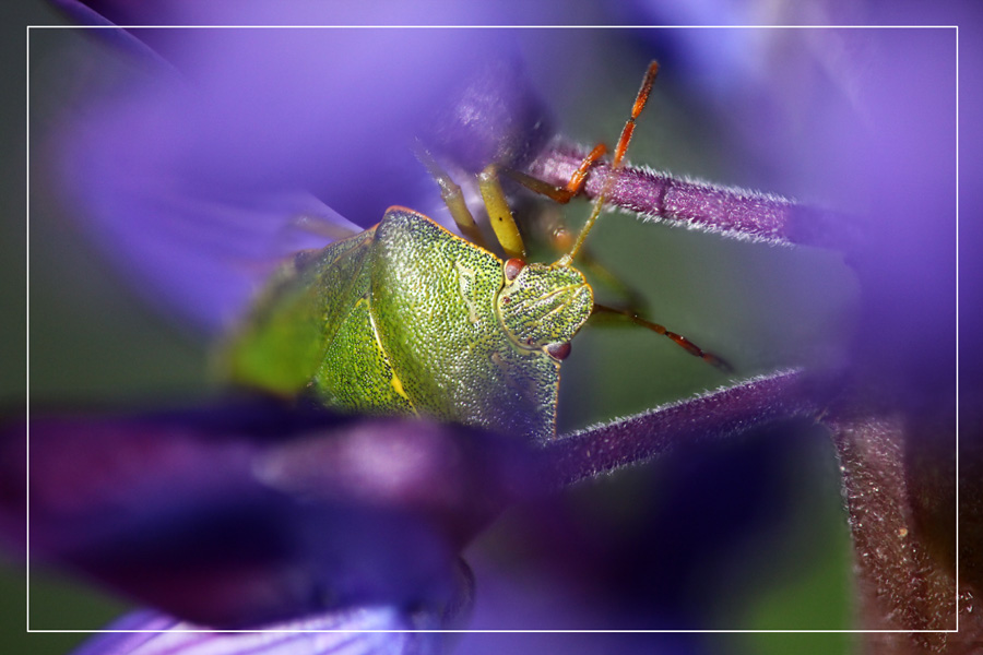 09-06-25_104115_M_A_R_8_S_4