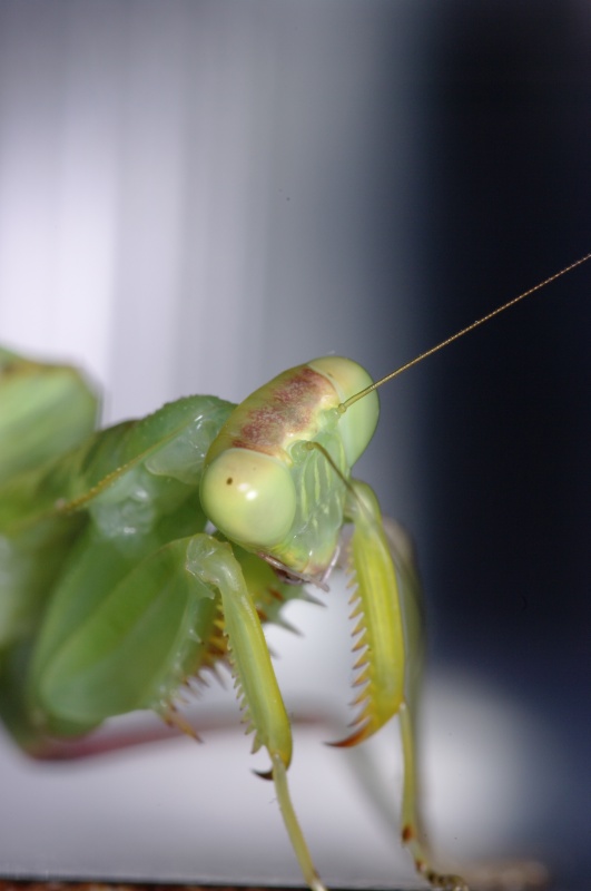 090131132522_100mm_F14_t100_iso100