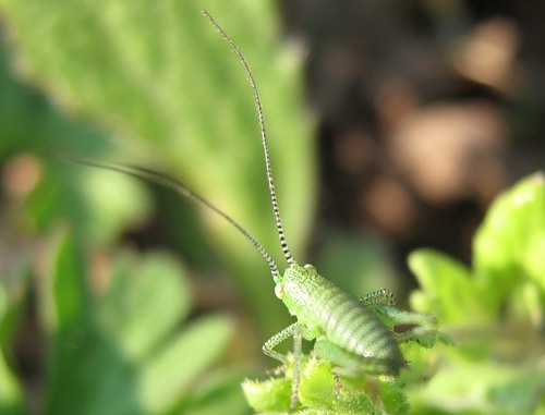 0_62db_215b7b9e_-3-L