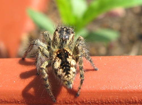 0_6c7c_c4fbbc9e_-2-L