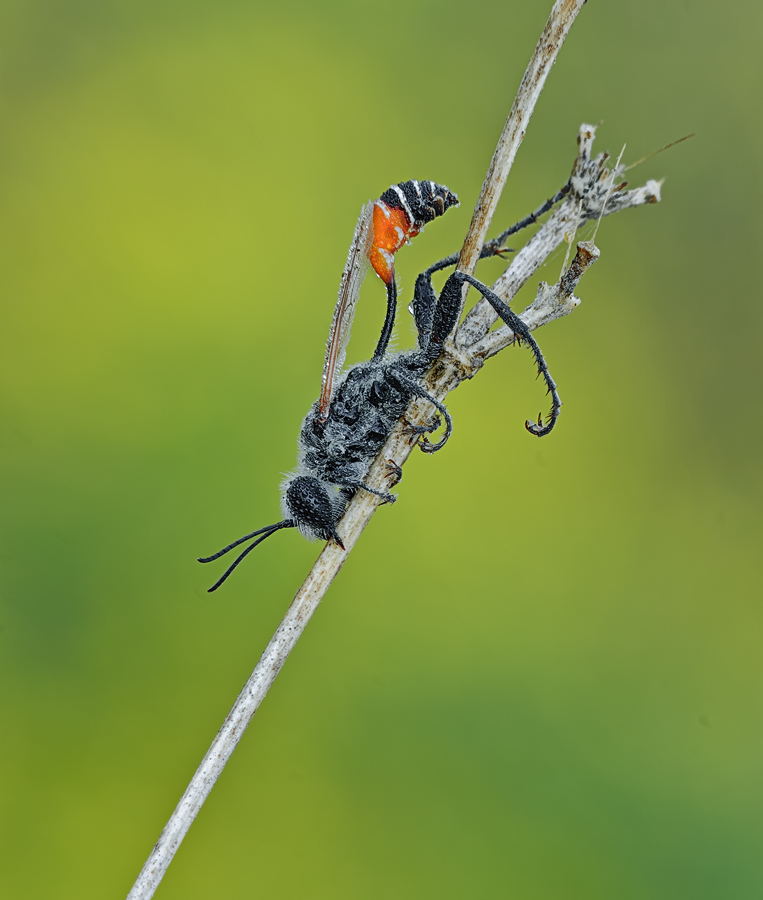 2013-10-27_08-04-23_M_C_R_4_S_2