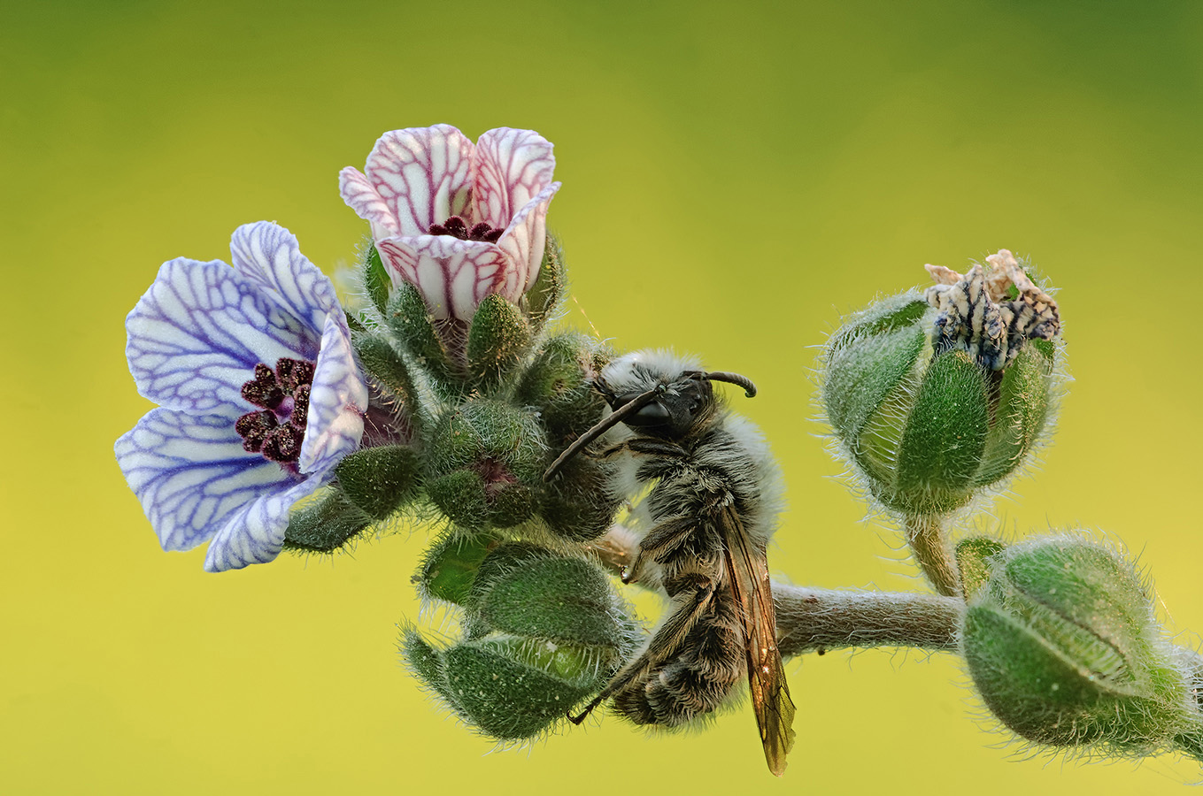 2016-04-04_14-04-33_1_