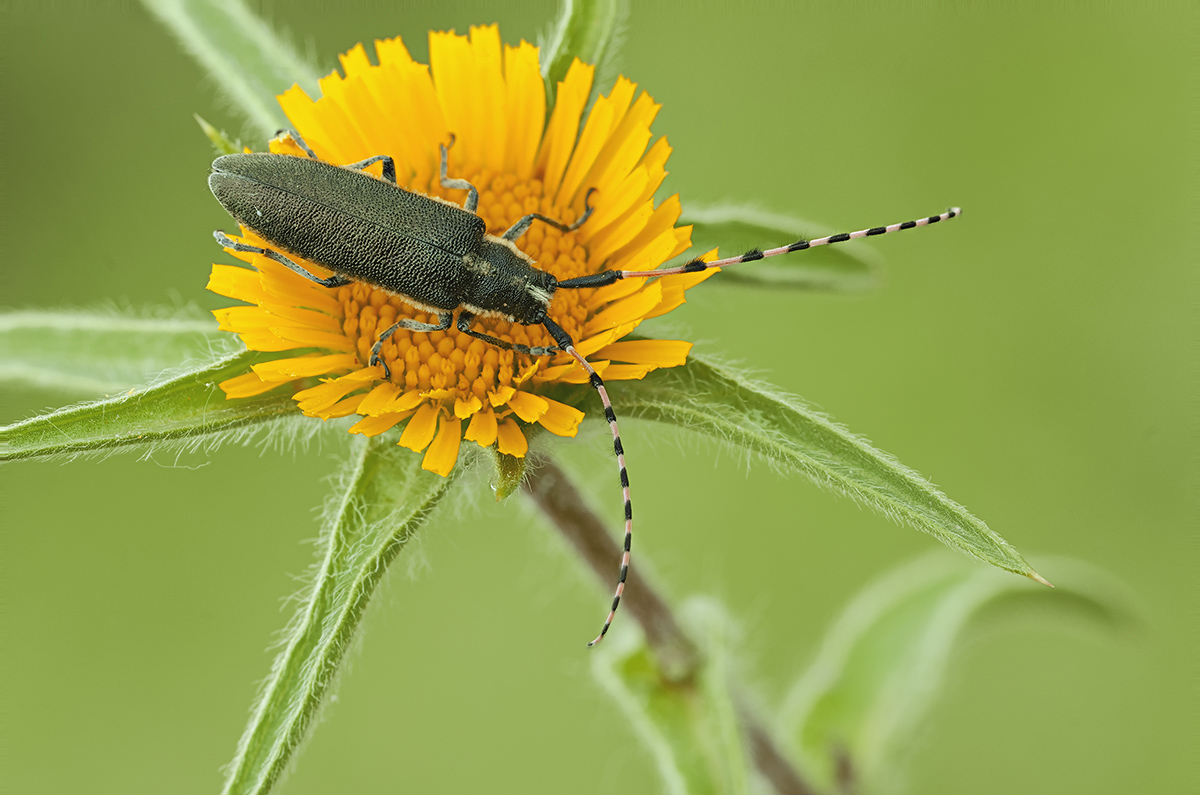 2016-05-02_18-29-46_C_2