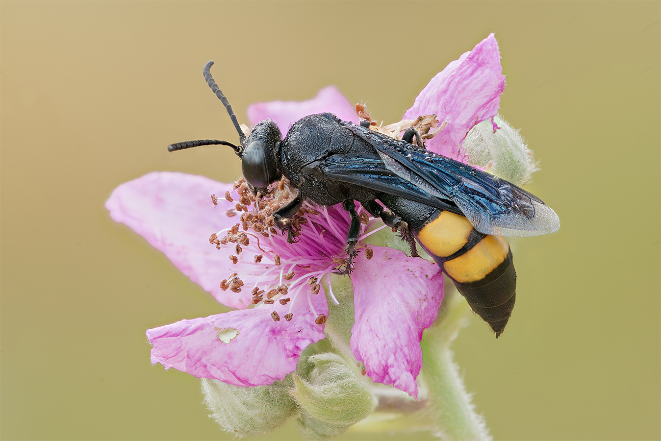 2016-05-21_10-00-15_C_B