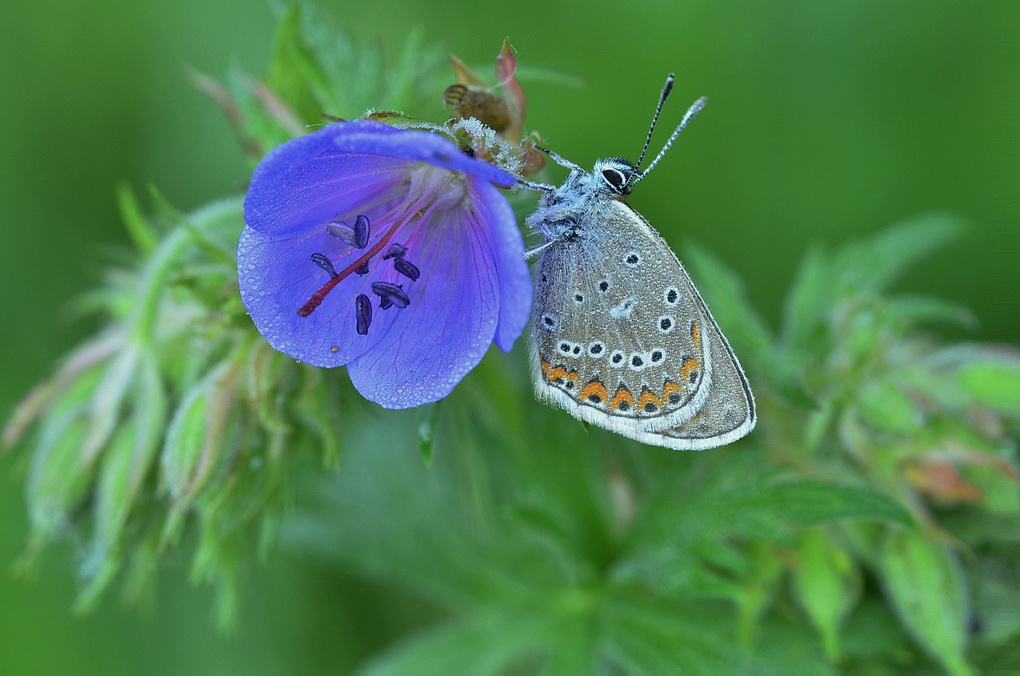 2019-06-16_10-19-17_A_Radius8_Smoothing4_14