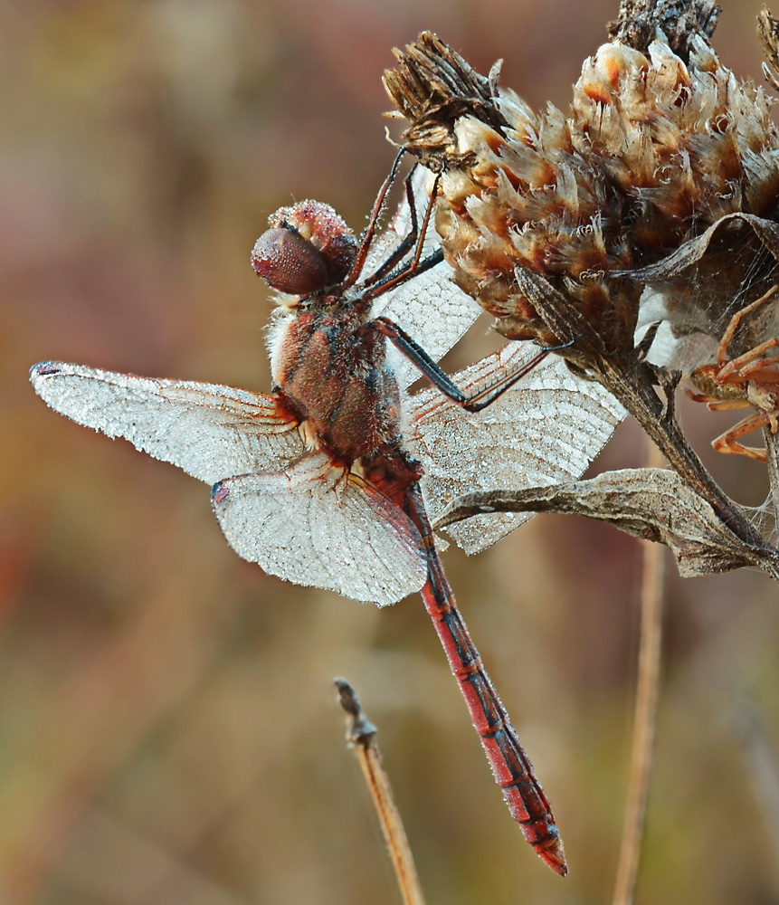 2024-01-02_14-23-23_A_Radius8_Smoothing4_