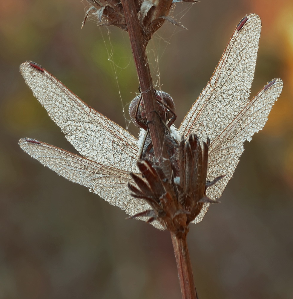 2024-01-02_15-06-09_A_Radius8_Smoothing4_