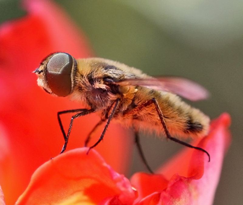 20_2009_Canon_002_-_