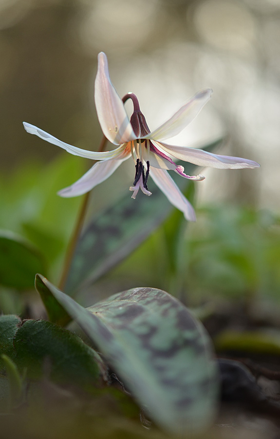 231_-_Copy_2_edited-2