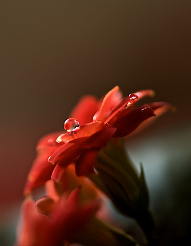 3254867879_da2b0e3ffd