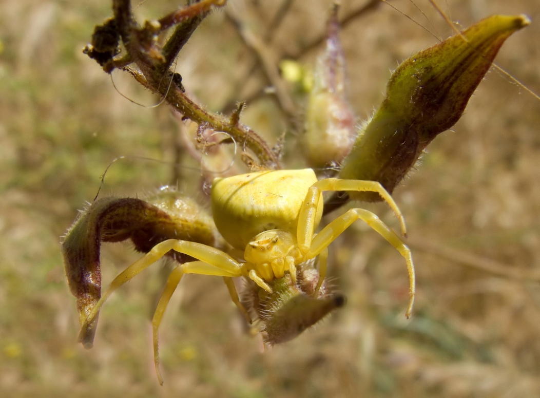 DSCF8043_-1-_filtered_