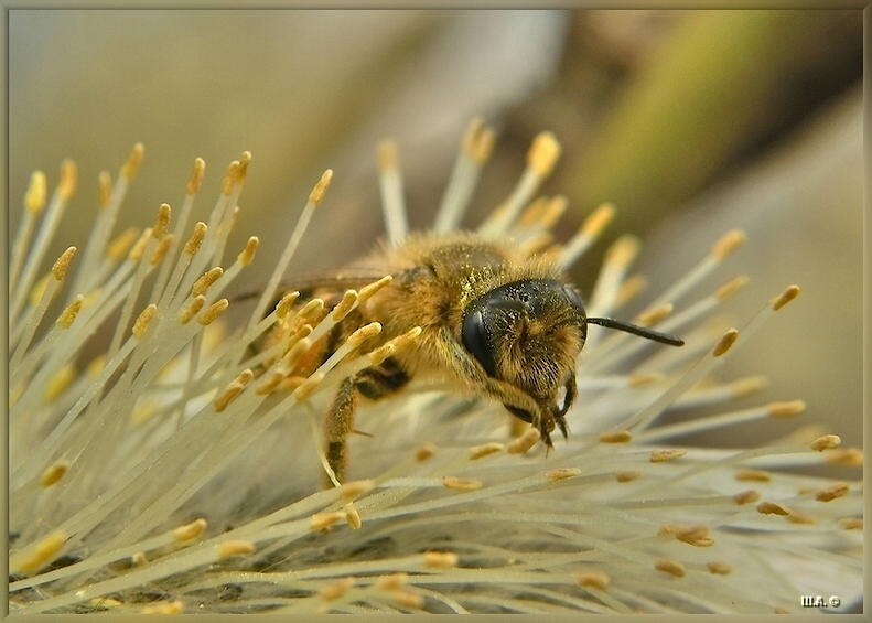 DSCN0279_hf_hf_hf_hf