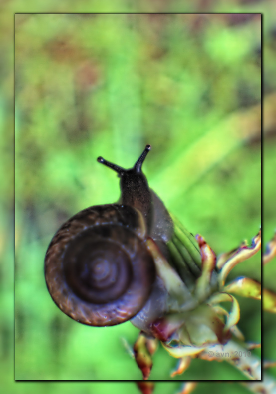 DSC_0034jjjj_Copy_TN