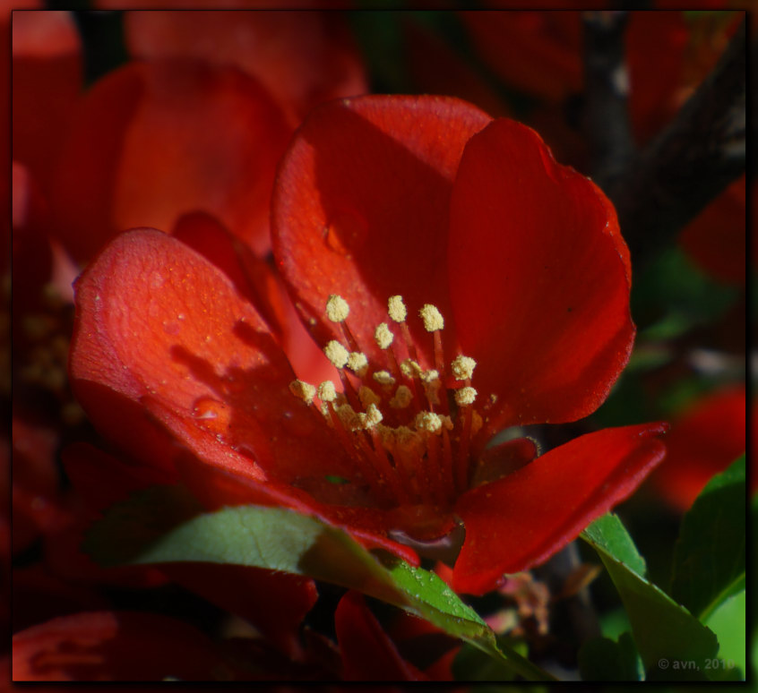 DSC_0108_Copy_TN