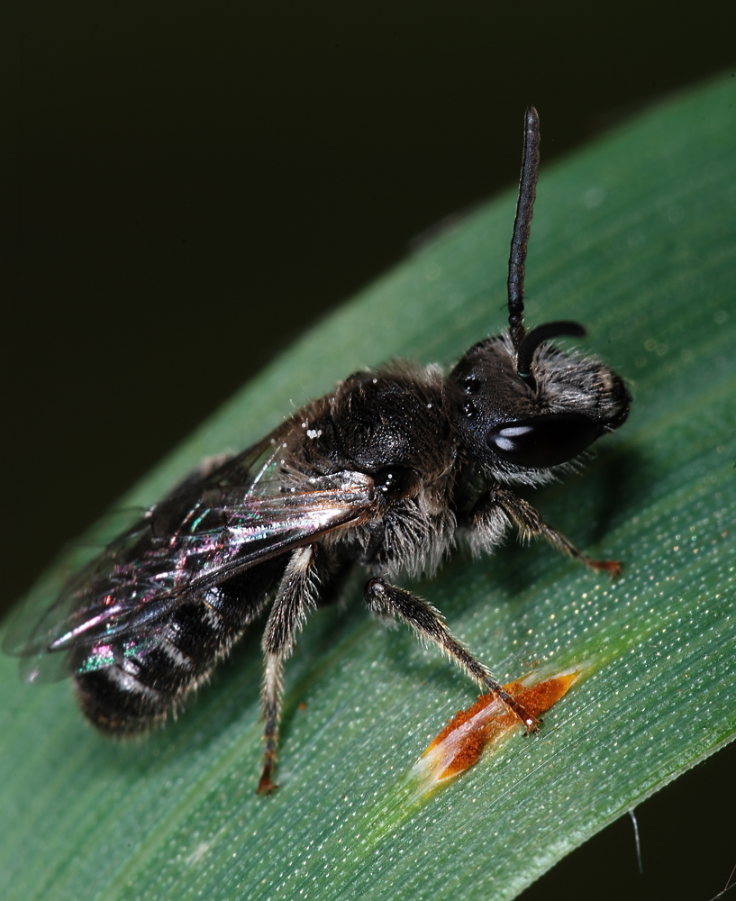 DSC_7845_FMWW