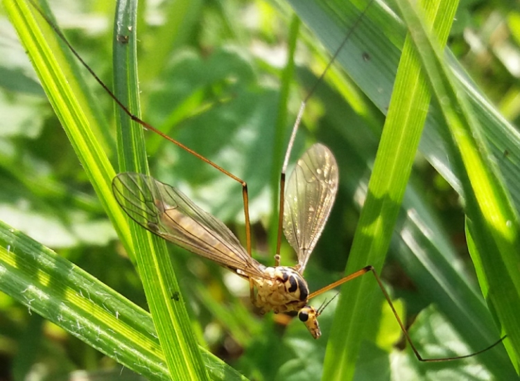 IMG_04032019_195616_750_x_550_