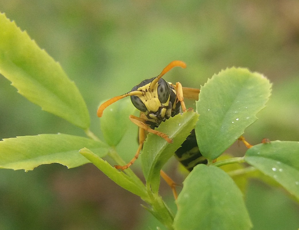 IMG_11072019_111205_1040_x_800_