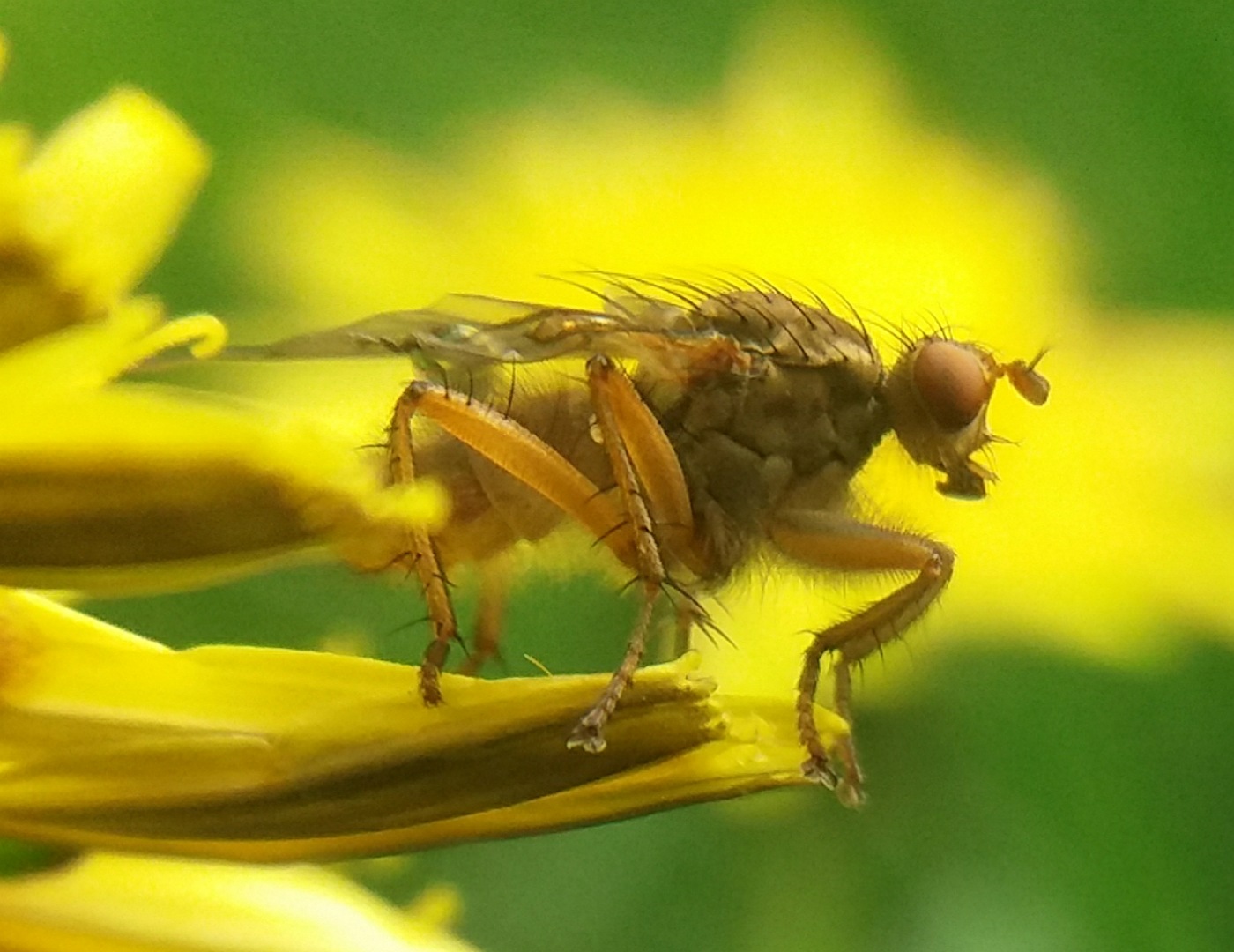 IMG_18052019_205132_1400_x_1080_