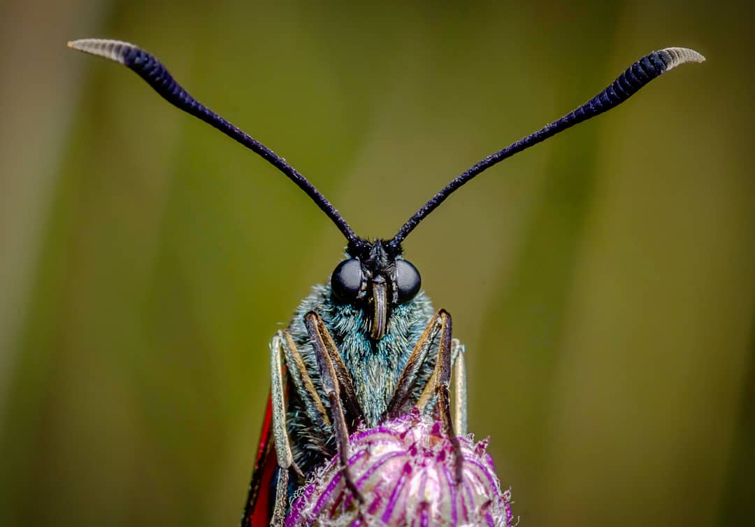 IMG_20200720_182555_186