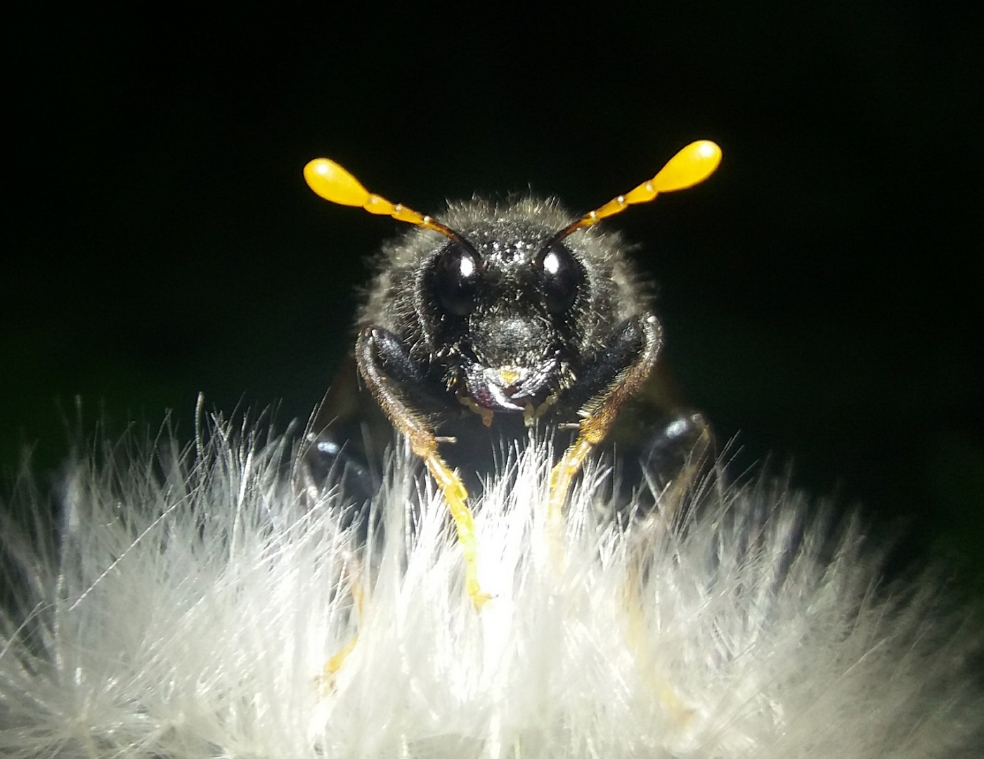 IMG_25052019_212131_1400_x_1080_