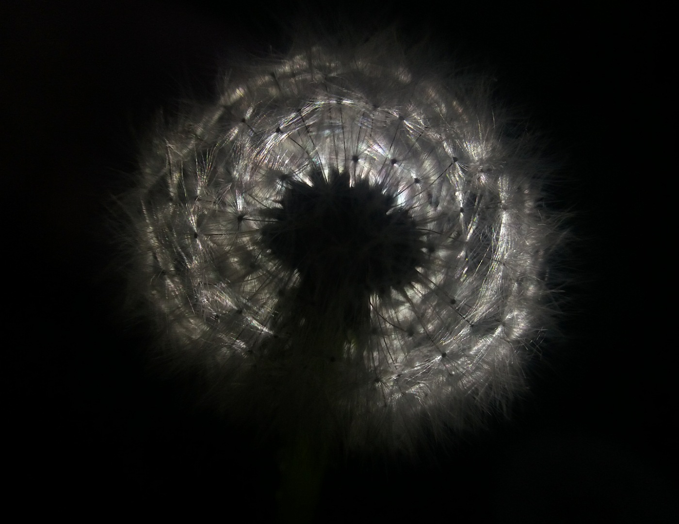 IMG_28052019_102736_1400_x_1080_