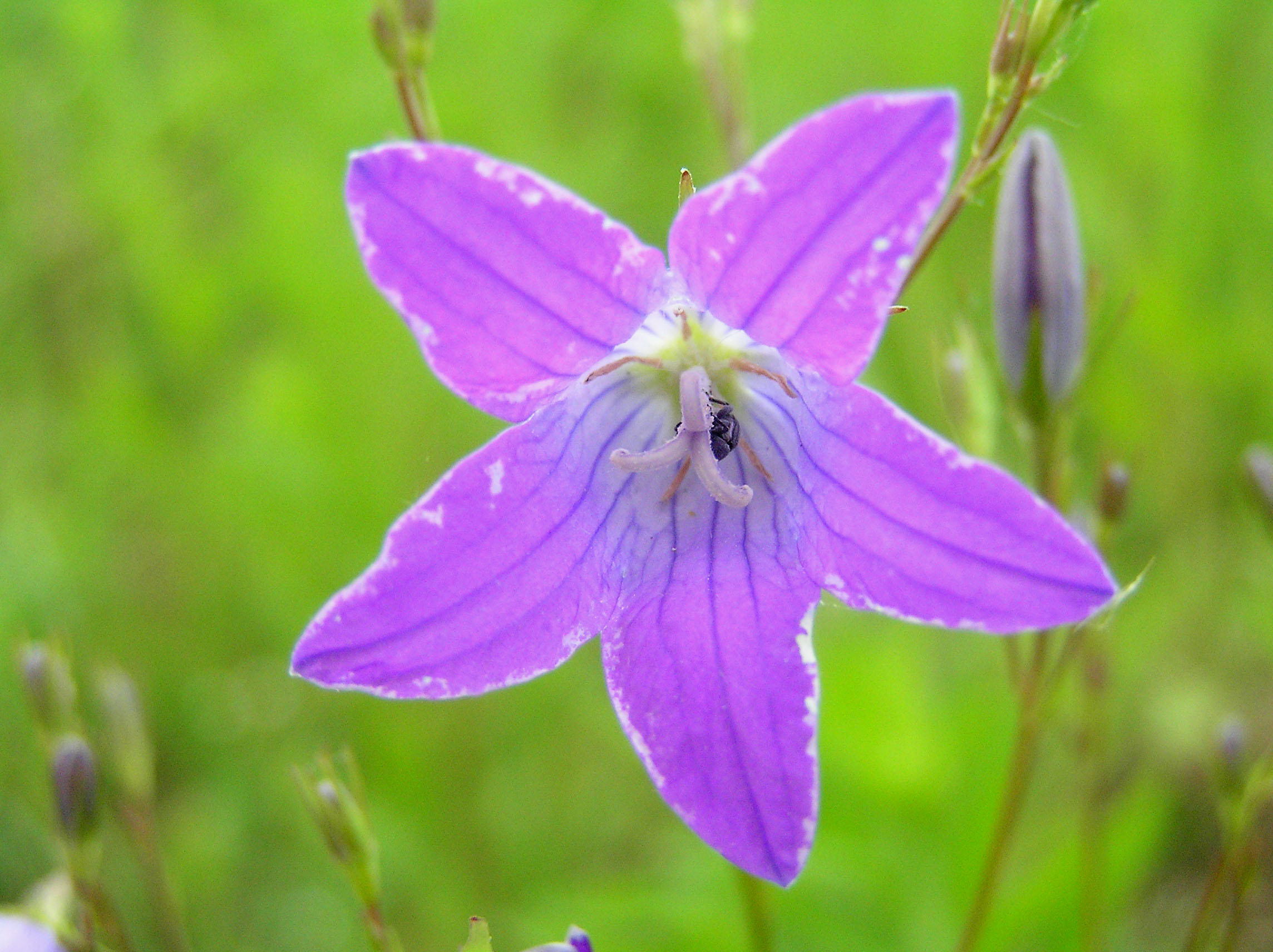 Timohino_i_drugoe_016