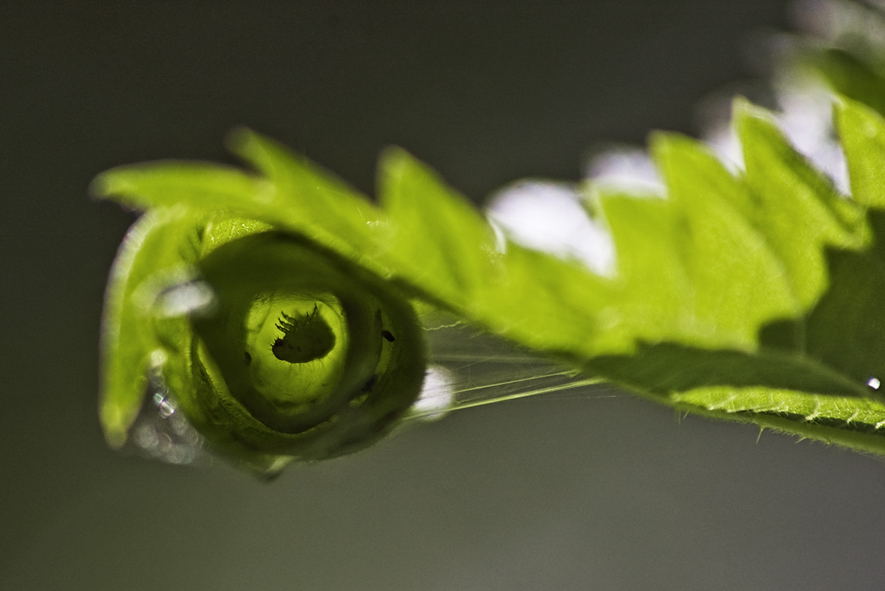 V_ojidanii_chuda_72dpi_