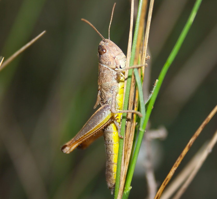 gallery_4673_344_10782