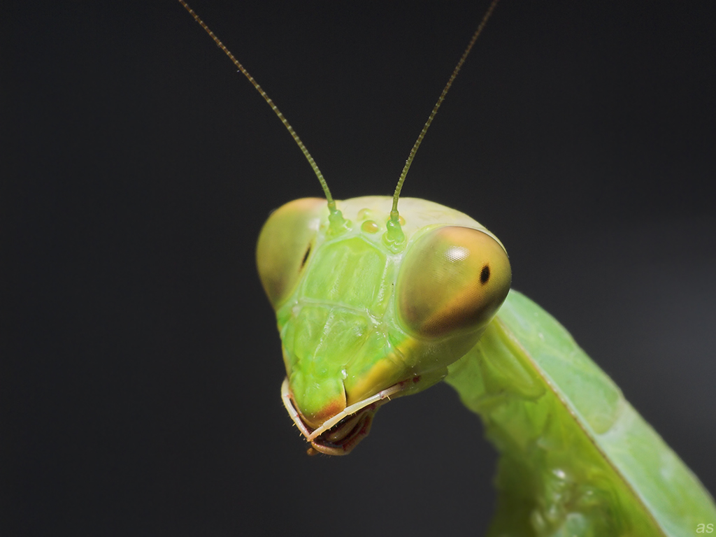 20D7845-01_fWEB1024x768