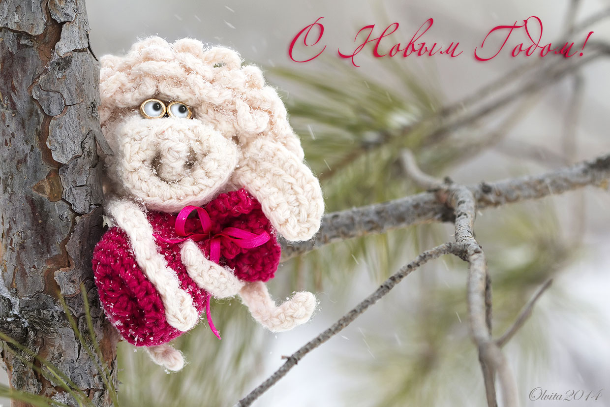 Crochet_sheep_on_a_pine_tree_