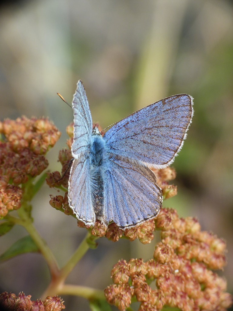 0_65874_1b5bbeb9_XXL