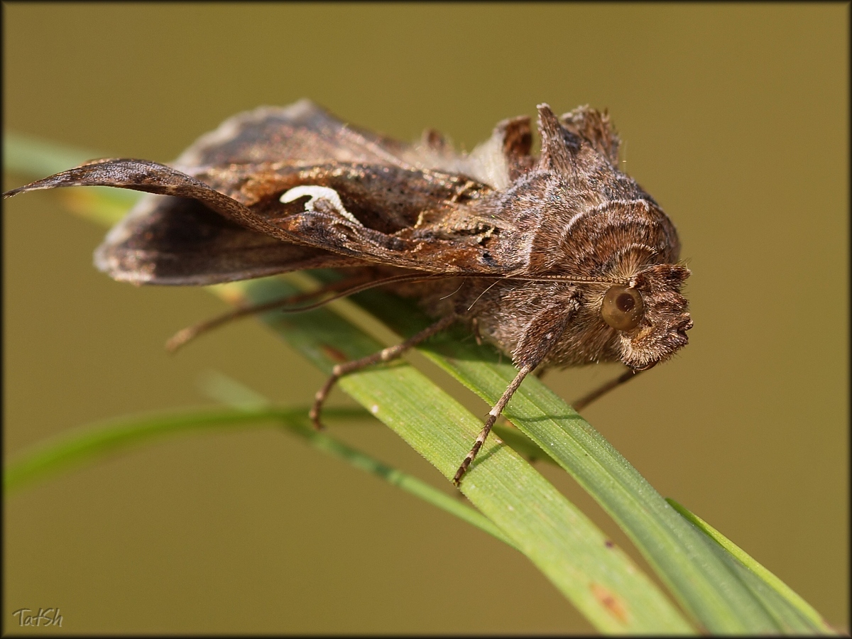 0_75522_f8410805_orig