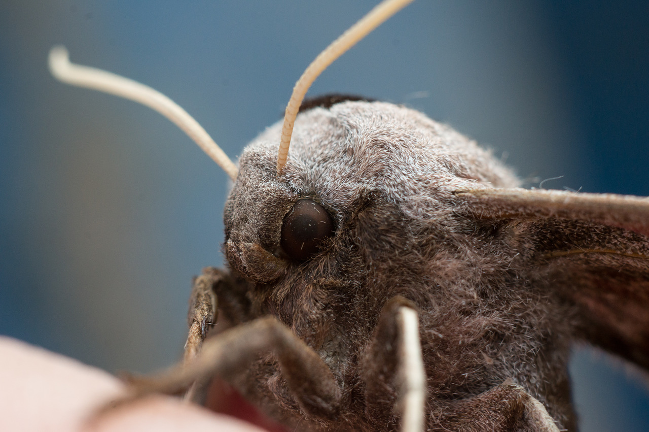 0_b429b_b4baa999_XXXL