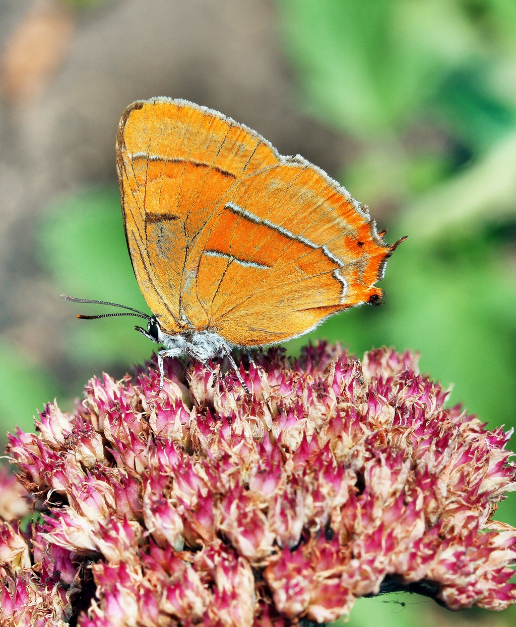 14-09-17_232551_M_B_R_8_S_4_fhdr