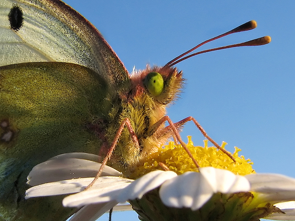 2007_09_12-185219_1_2_