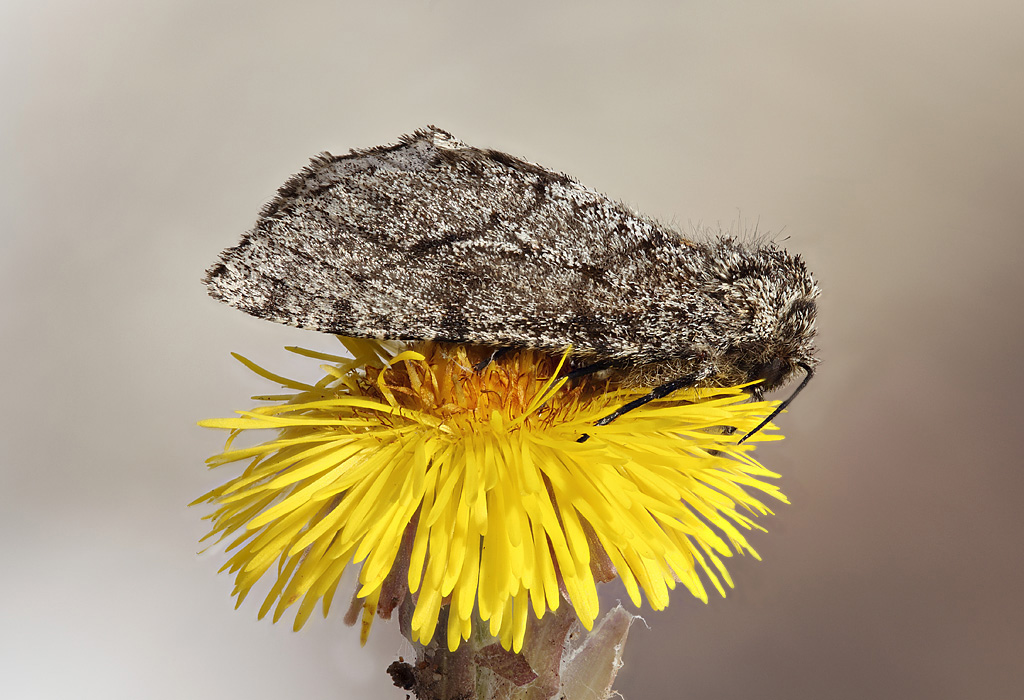 2013-04-20-17_49_45_ZS_PMax