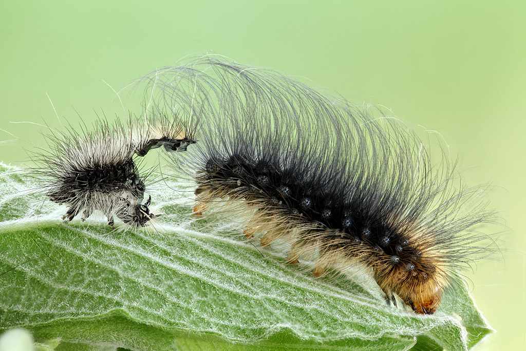 2013-05-30-16_00_45_ZS_PMax