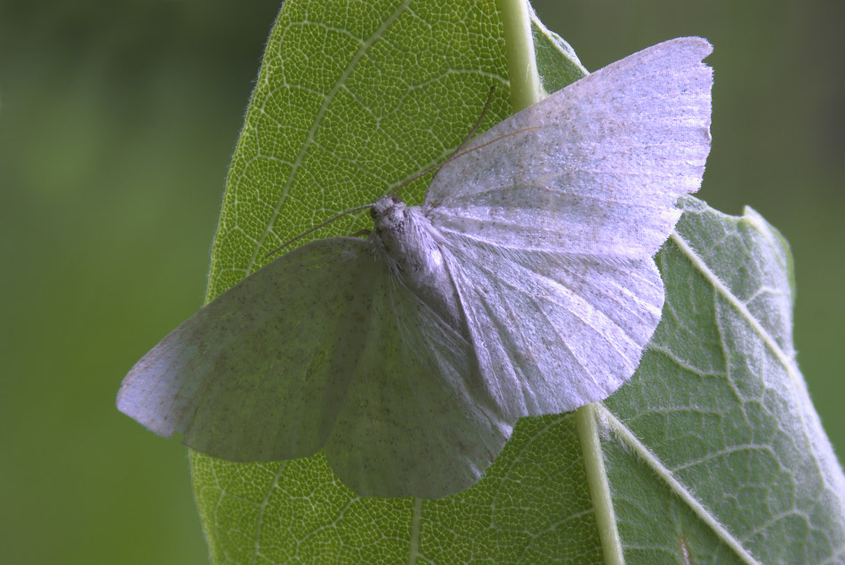 2015-05-31_09-12-52_M_B_R_30_S_4