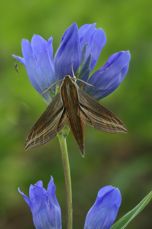 2016-09-07_21-42-56_M_A_R_11_S_4