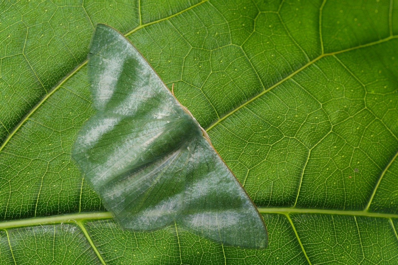 2018-03-20-23_11_07_ZS_PMax