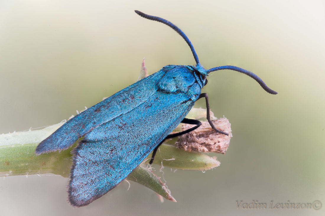 2018-04-08-23_36_59_ZS_retouch-1